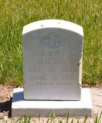 Bienz, Albert L. (Bern)