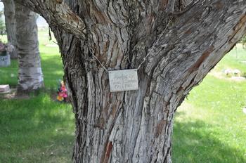 Bartschi, Frank R. (Georgetown)