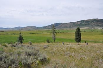 2. Skinner Cemetery (Skinner)